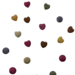 نبات دمنوشی